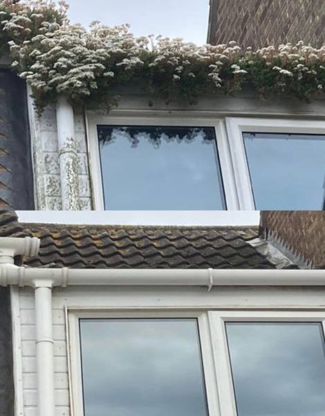 Gutter cleaning Devizes