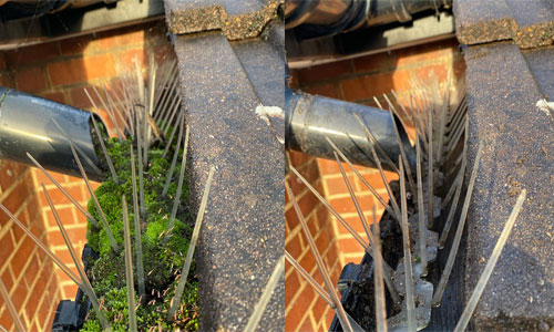 gutter-32 pigeon spikes